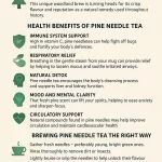 Pine Needle Tea: Ancient Brew with Modern Benefits