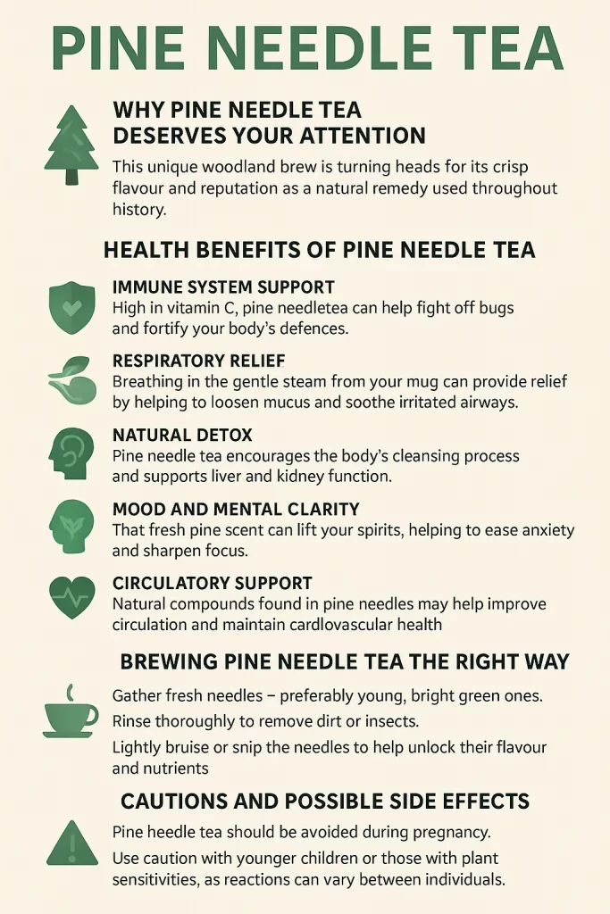 Discover the surprising benefits of pine needle tea. From immune support to natural detox, this forgotten remedy is making a big comeback.