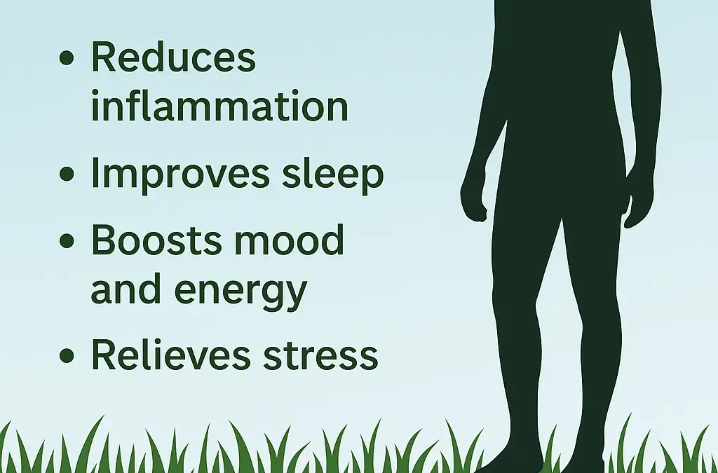 Benefits of Grounding on Grass: Improve Health Naturally