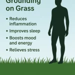 Benefits of Grounding on Grass: Improve Health Naturally