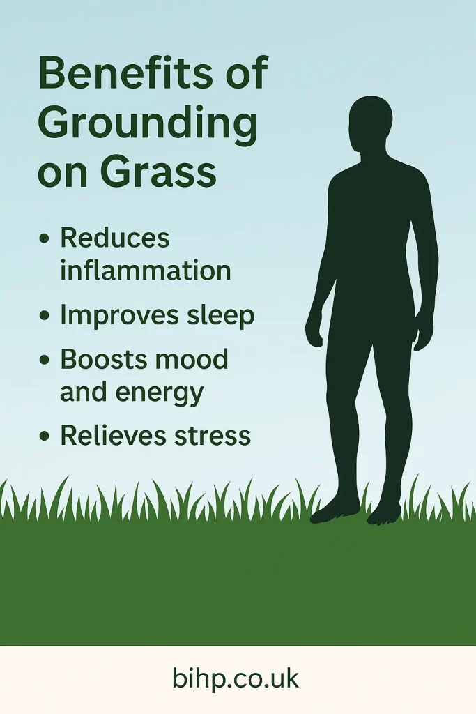 Unlock the top benefits of grounding on grass for better sleep, reduced stress, and stronger immunity. Discover nature’s healing power today.