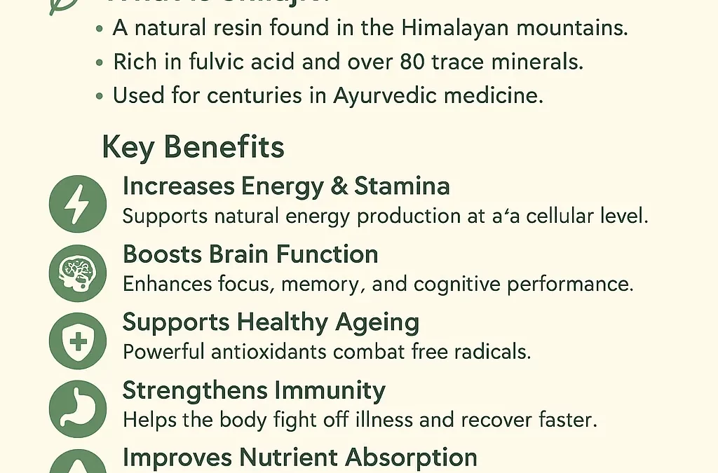 Shilajit Benefits for Humans – Natural Energy and Wellness