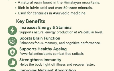 Shilajit Benefits for Humans – Natural Energy and Wellness