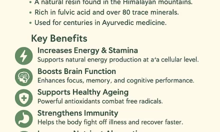 Shilajit Benefits for Humans – Natural Energy and Wellness