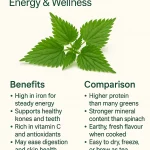Nutritional Benefits of Nettles – A Forgotten Superfood Revealed