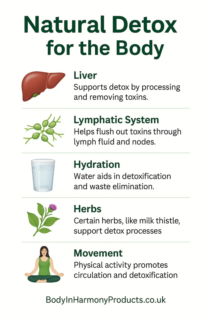 Natural detox for the body with gentle, effective methods to support your liver, lymphatic system, and overall wellbeing the healthy way.