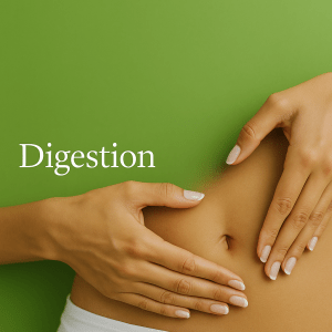 Digestion