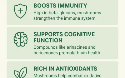 The Power of Mushrooms – Types, Benefits and Natural Healing