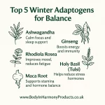 Adaptogens What Are They | Natural Winter Wellness Support