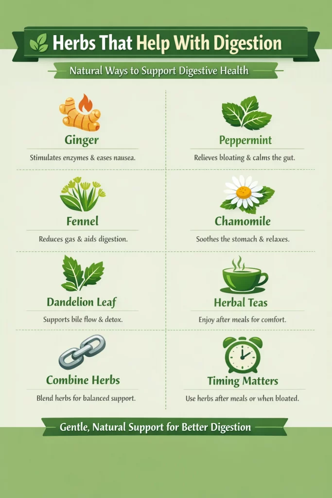 Herbs that help with digestion support gut comfort, reduce bloating, & encourage smoother digestion using gentle, natural plant-based support.